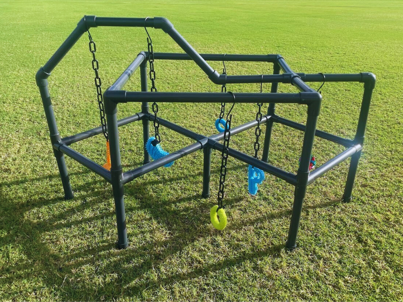 Puppy Jungle Gym On Grass